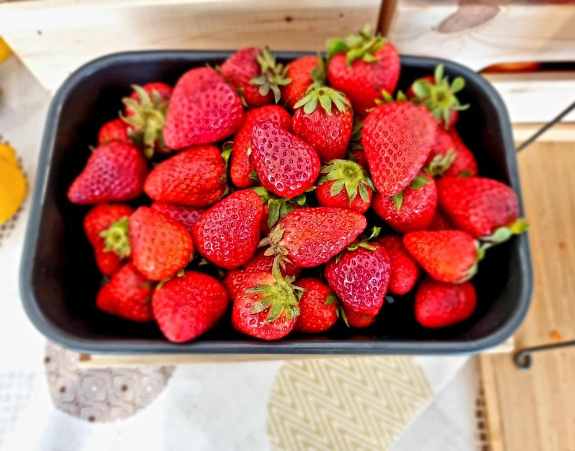 Hotel Elefantino Grey - Free Breakfast & Brunch Until 13-00 - Vicinissimi A Mirabilandia Milano Marittima Ngoại thất bức ảnh
